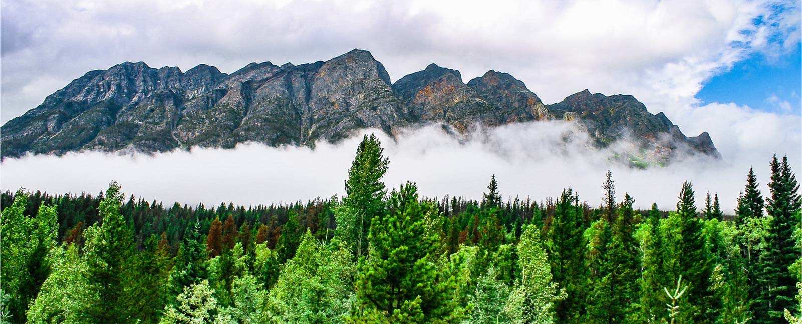 Zhejiang Zhongli Materiale sintetice Technology Co., Ltd.